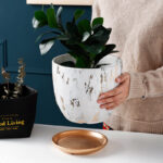 Modern Ceramic Flower Pot – Stylish Planter for Home & Office Decor 