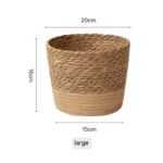 Vine Plant Flower Pot – Stylish Green Plant Planter for Home & Office Decor 