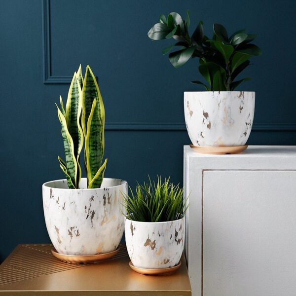 Elegant Ceramic Flower Pot – Modern Planter for Home & Office Decor 