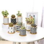 Elegant Ceramic Flower Pot – Modern Planter for Home & Office Decor 