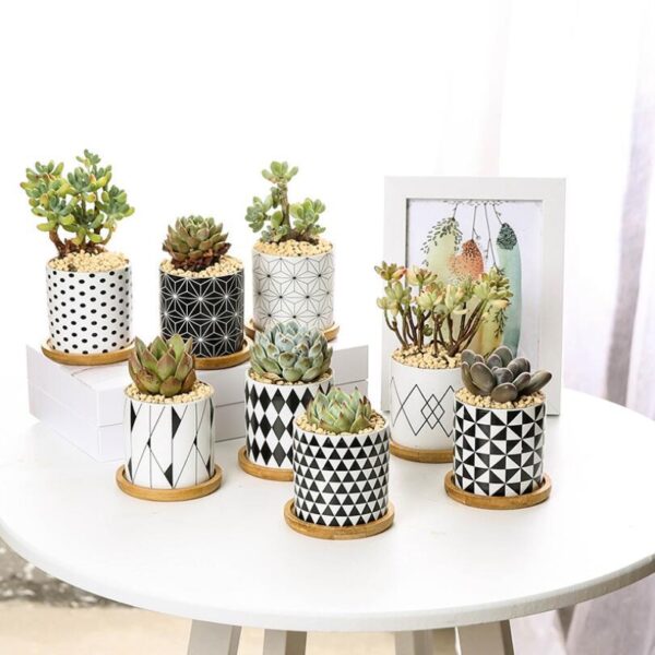 Modern Ceramic Flower Pot – Stylish Planter for Home & Office Decor 