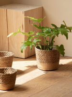 Vine Plant Flower Pot – Stylish Green Plant Planter for Home & Office Decor 