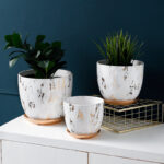 Modern Ceramic Flower Pot – Stylish Planter for Home & Office Decor 