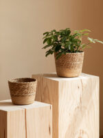 Vine Plant Flower Pot – Stylish Green Plant Planter for Home & Office Decor 