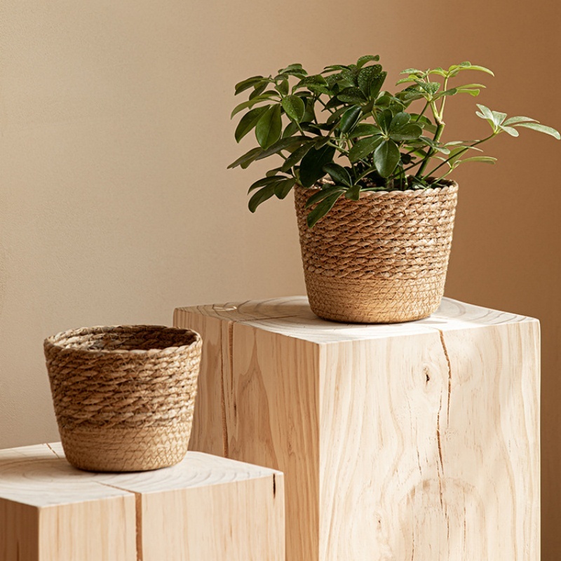 Vine Plant Flower Pot – Stylish Green Plant Planter for Home & Office Decor 